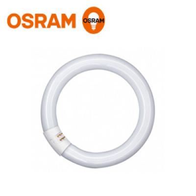 Osram Circular Fluorescent Lamp Basic T9 C L 22W/765 G10Q 216mm 4008321173287